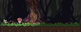Mushroom lost in the forest